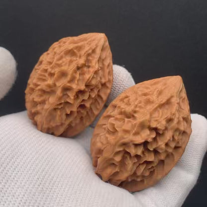 Wealth Rat Walnuts | Width35*Belly39*Height50 | No. 0260627-03 | Premium