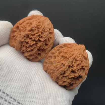 Starry Sky Walnuts | Width39*Belly37*Height40 | No. 0260627-04 | Premium
