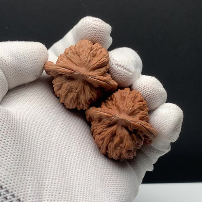 Four‑Story Tower Walnuts | Width36*Belly34*Height33 | No. 671015 | Premium
