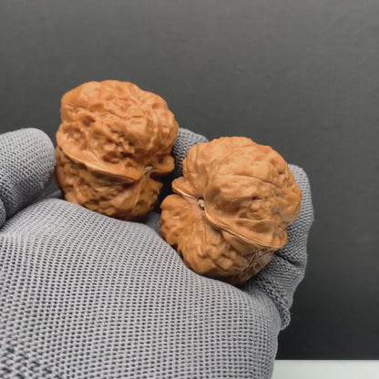 Toad Head Wenwan Walnuts | Width38*Belly42*Height35 | N0.69074 | Premium