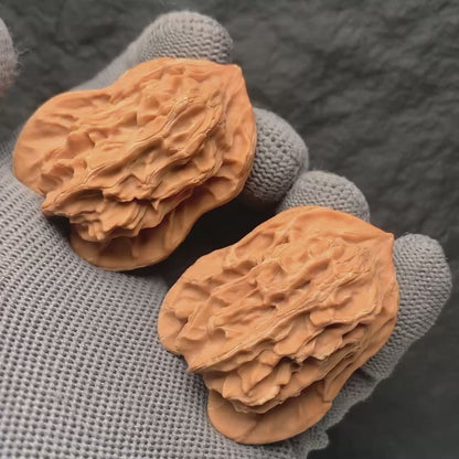 Gourd Wenwan Walnuts | Width34*Belly30*Height44 | NO.672404 | Premium