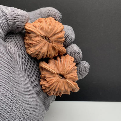 Pinggu Four‑Building Towers Wenwan Walnuts | Width43*Belly40*Height37 | NO.0260622‑07 | Premium