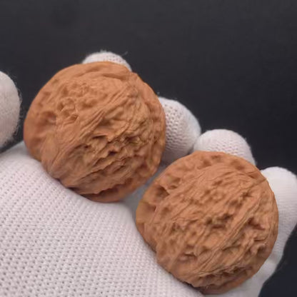 White Lion Walnuts | Width35*Belly34*Height33 | No. 671702 | Premium