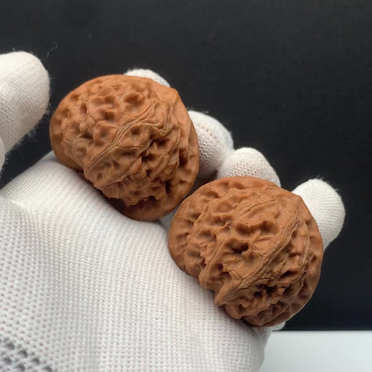 Palace Lantern Walnuts | Width40*Belly40*Height35 | No. 67030 | Premium