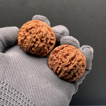 Four story tower Wenwan Walnuts | Width39*Belly36*Height34 | NO.0260628‑05 | Premium