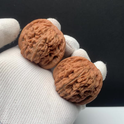 Four‑Story Tower Walnuts | Width41*Belly40*Height36 | No. 67017 | Premium