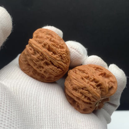 Dense Grain Walnuts | Width33*Belly32*Height31 | No. 67930 | Premium