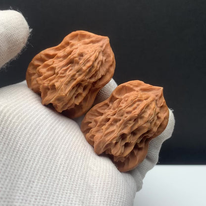 Palace‑Lantern Gourd Walnuts | Width34*Belly32*Height45 | No. 672401 | Premium