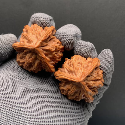 Panshan Tri‑Edge Walnuts | Width38/37/37*Height44 | NO.69123 | Premium