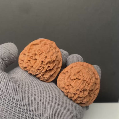 Nanjiangshi Wenwan Walnuts | Width41*Belly39*Height40 |NO.6101012 |Premium