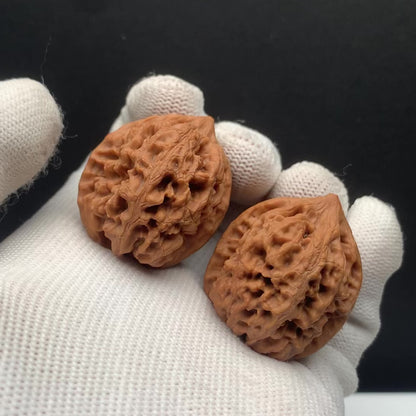 Taihang Dragon Grain Walnuts | Width30*Belly35*Height34 | No. 608131 | Premium