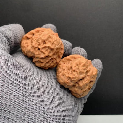 Golden Toad Head Wenwan Walnuts | Width40*Belly43*Height34 | NO.6101035 | Premium