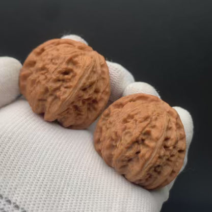 White Lion Walnuts | Width40*Belly39*Height34 | No. 671605 | Premium