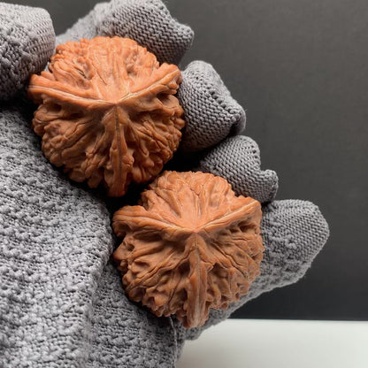 Wenshan Three-Ridged Mercedes-Benz Walnuts | Width39/38/38*Height33 | No.N26‑YLCJ‑006 | Premium