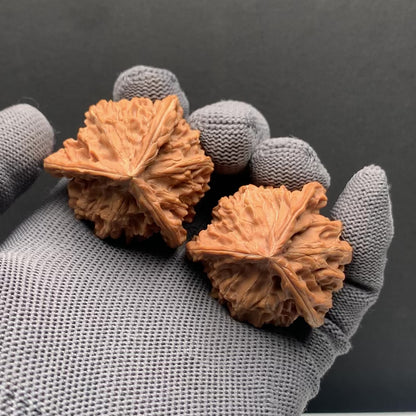 Panshan Tri‑Edge Walnuts | Width39/39/38*Height42 | NO.69124 | Premium