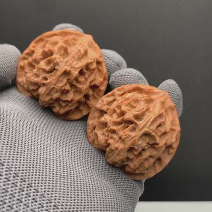 Apple Orchard Wenwan Walnuts | Width43*Belly40*Height42| NO.6101030 | Premium