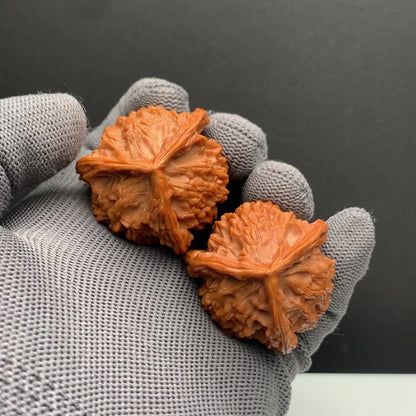 Panshan Tri‑Edge Wenwan Walnuts | Width38/38/38*Height42| NO.6101029 | Premium