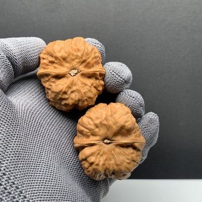 Toad Head Wenwan Walnuts | Width38*Belly42*Height35 | N0.69074 | Premium