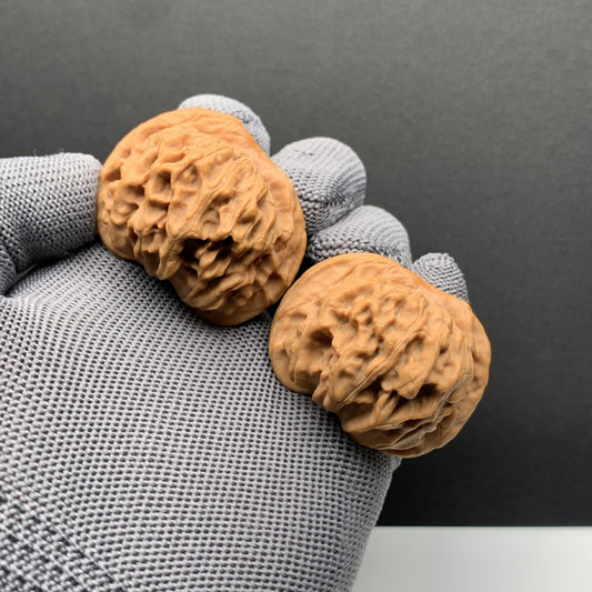 Tiandi Er Ye Mao wenwan walnuts| Width42*Belly39*Height34 | N0.69075 | Premium