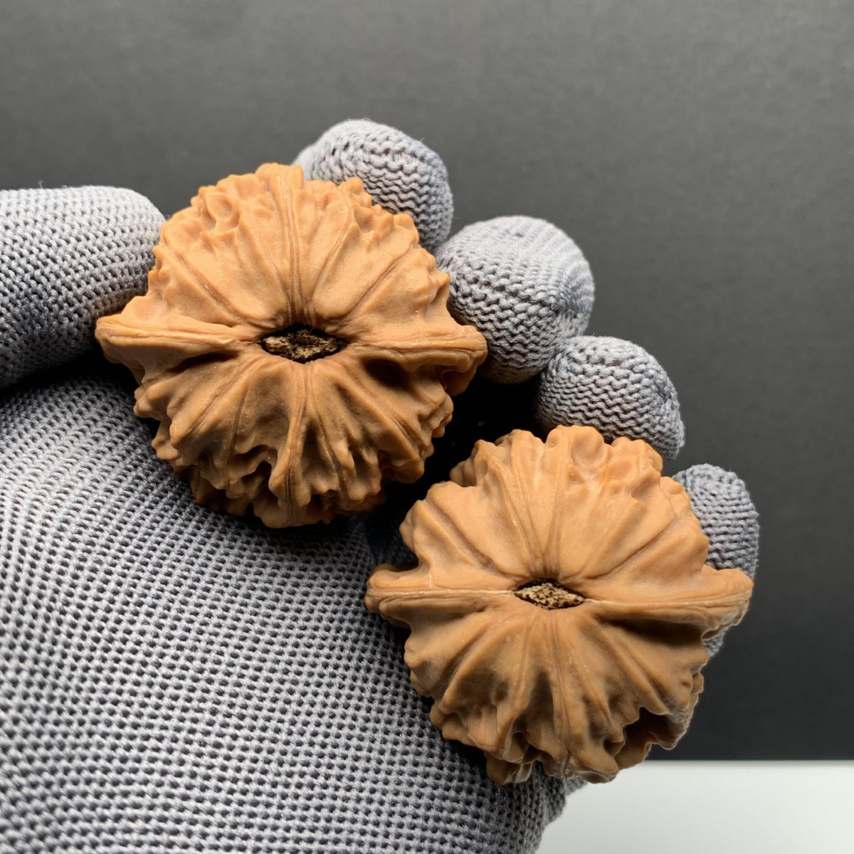 Tiandi Er Ye Mao wenwan walnuts| Width42*Belly39*Height34 | N0.69075 | Premium