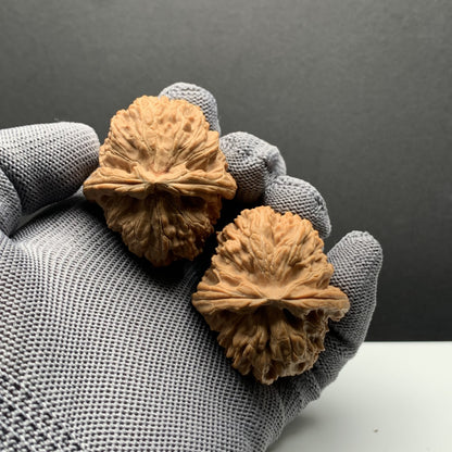 Longmenjian Walnuts | Width39*Belly43*Height38 | N0.69081 | Premium