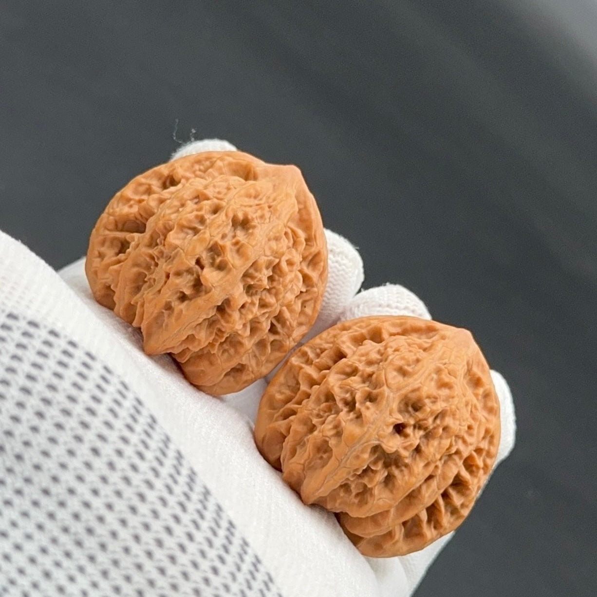 Specical Price｜XiaYunLing Wenwan Walnuts（Ragular Grade）