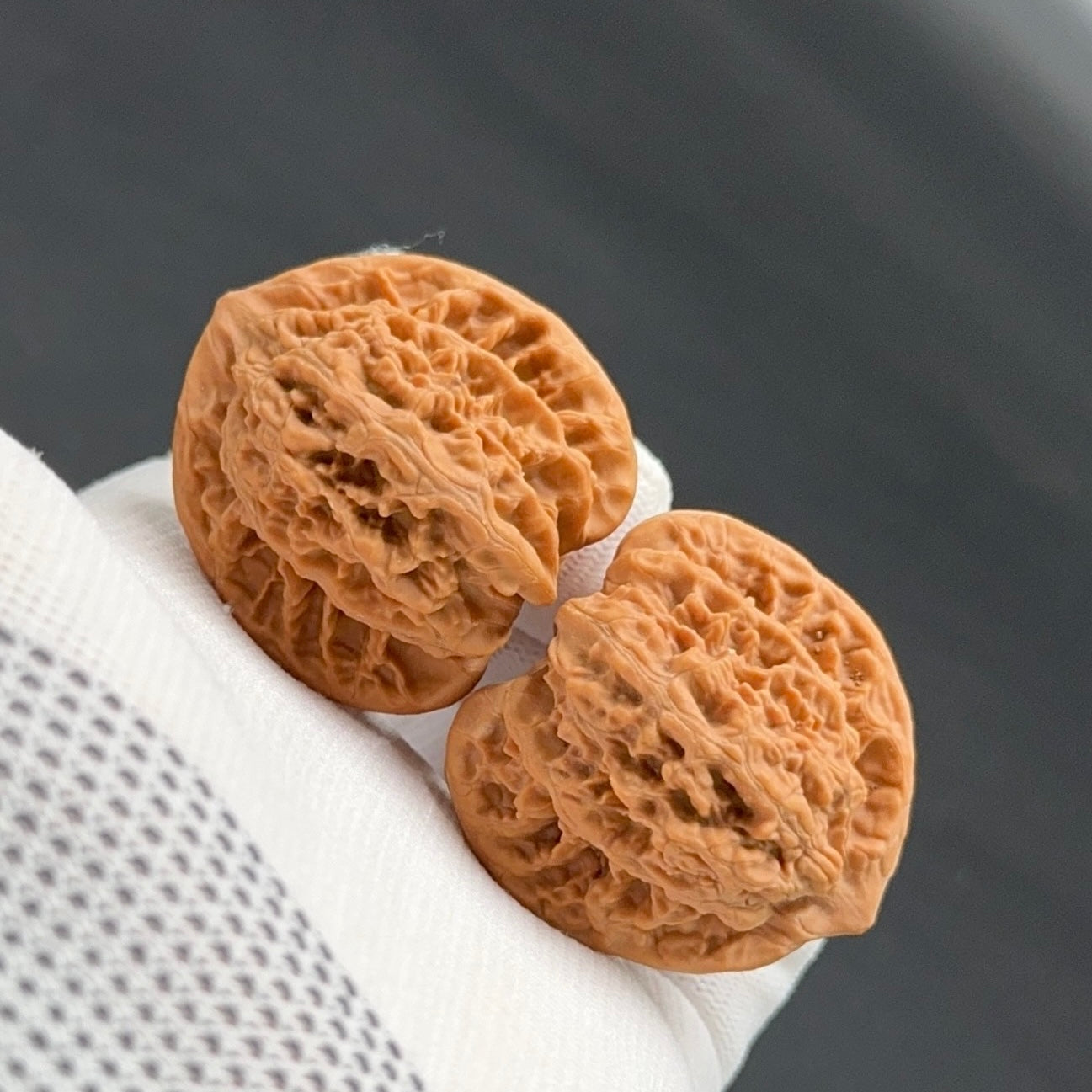 Specical Price｜XiaYunLing Wenwan Walnuts（Ragular Grade）