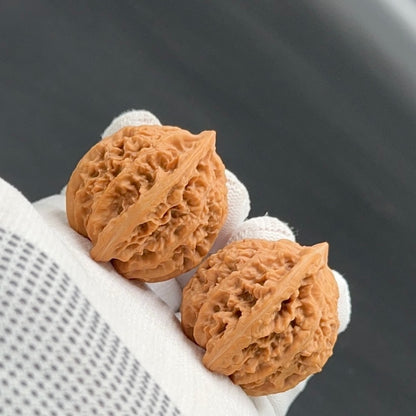 Specical Price｜XiaYunLing Wenwan Walnuts（Ragular Grade）