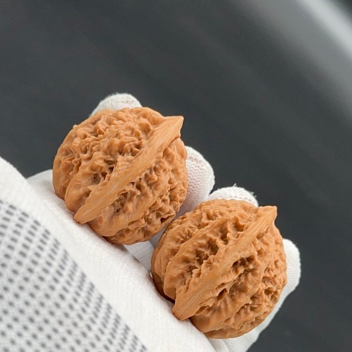 Specical Price｜XiaYunLing Wenwan Walnuts（Ragular Grade）