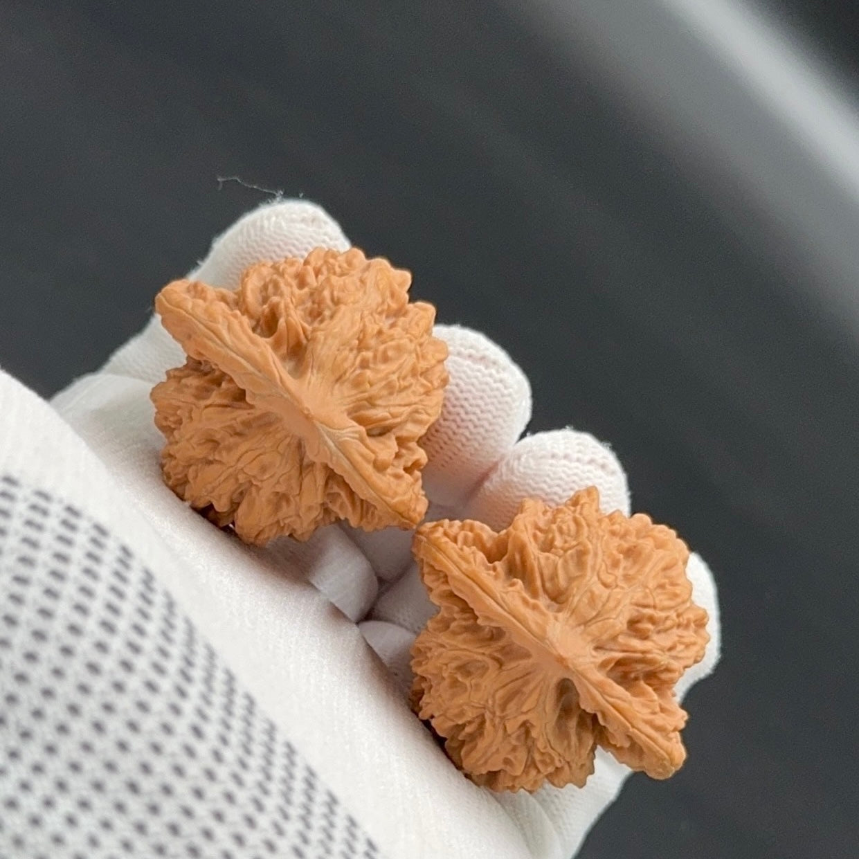 Specical Price｜XiaYunLing Wenwan Walnuts（Ragular Grade）