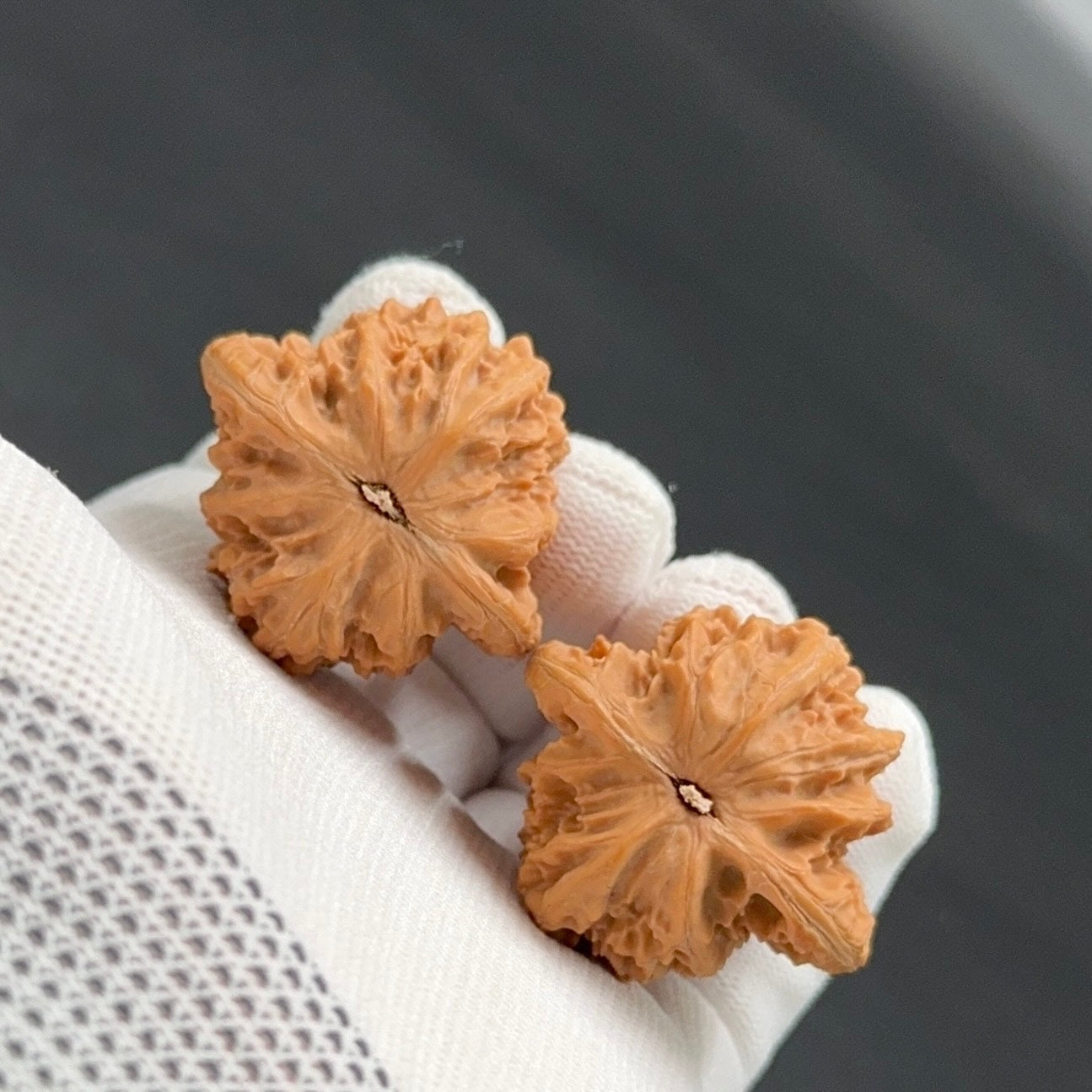 Specical Price｜XiaYunLing Wenwan Walnuts（Ragular Grade）